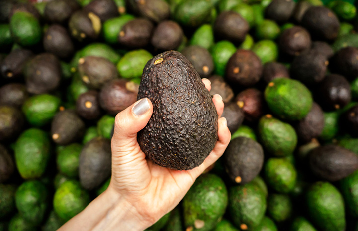 Fruit of the Month - Avocados